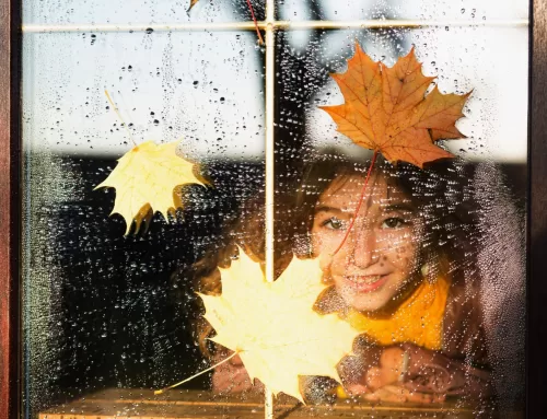 Fall Maintenance Tips Glass and Commercial Windows