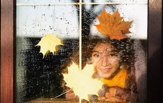 Fall Maintenance Tips Glass and Commercial Windows