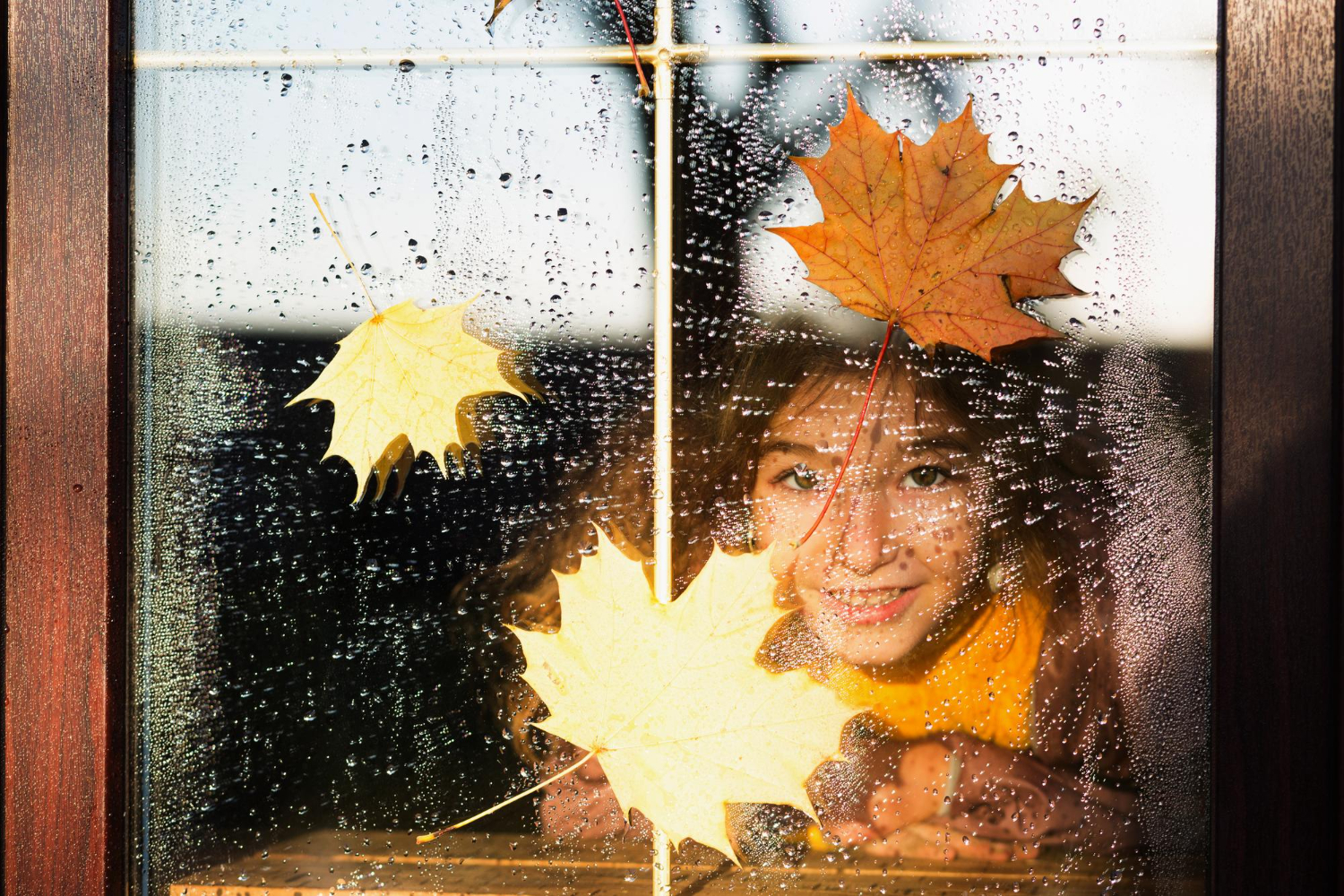 Fall Maintenance Tips Glass and Commercial Windows